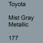 Preview: Toyota, Mist Gray Metallic, 177.